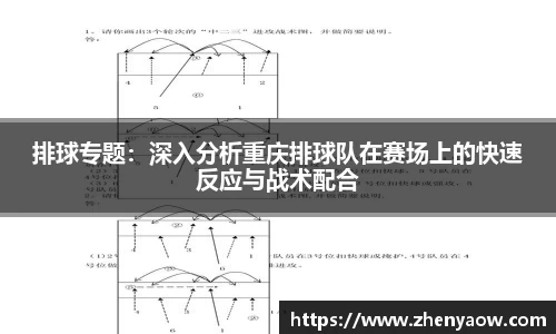 排球专题：深入分析重庆排球队在赛场上的快速反应与战术配合