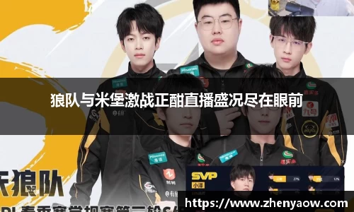 狼队与米堡激战正酣直播盛况尽在眼前
