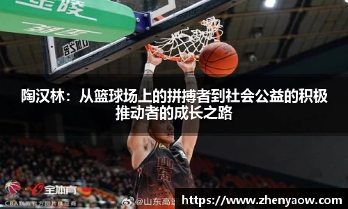 陶汉林：从篮球场上的拼搏者到社会公益的积极推动者的成长之路