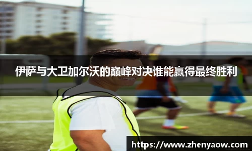 伊萨与大卫加尔沃的巅峰对决谁能赢得最终胜利