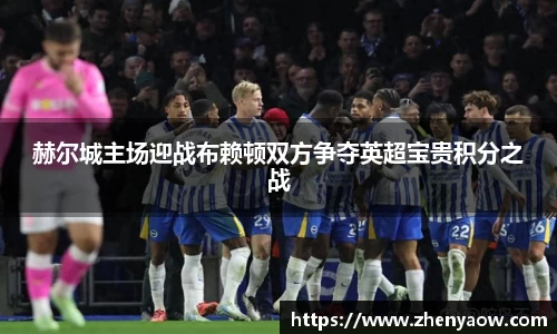赫尔城主场迎战布赖顿双方争夺英超宝贵积分之战