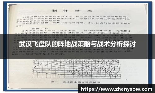 武汉飞盘队的阵地战策略与战术分析探讨
