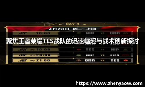 聚焦王者荣耀TES战队的迅速崛起与战术创新探讨